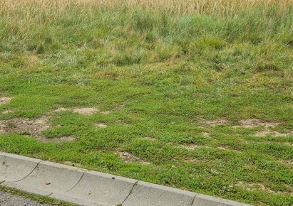 działka na sprzedaż - Rybnik, Boguszowice Stare