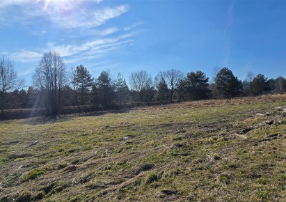 działka na sprzedaż - Rybnik, Kamień pod Rzędówką